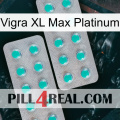 Vigra Xl Max Platinum 29